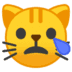 :crying_cat_face: