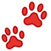 :paw_prints: