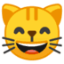 :smile_cat: