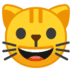:smiley_cat: