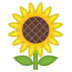 :sunflower: