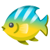 :tropical_fish:
