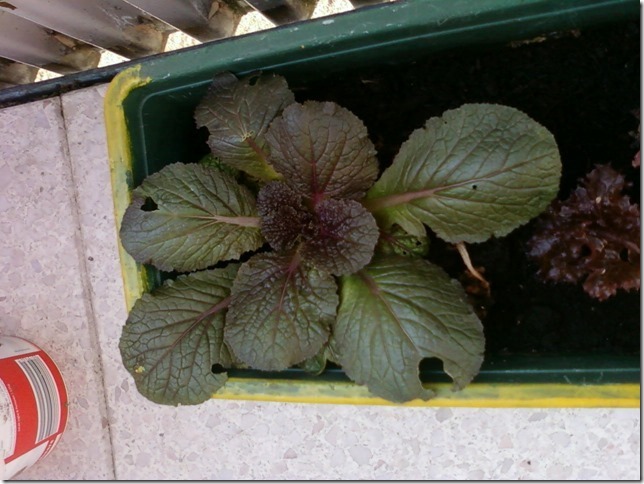 !cid_4F33744044FF4DECB84927F63ACAB809@papsPC