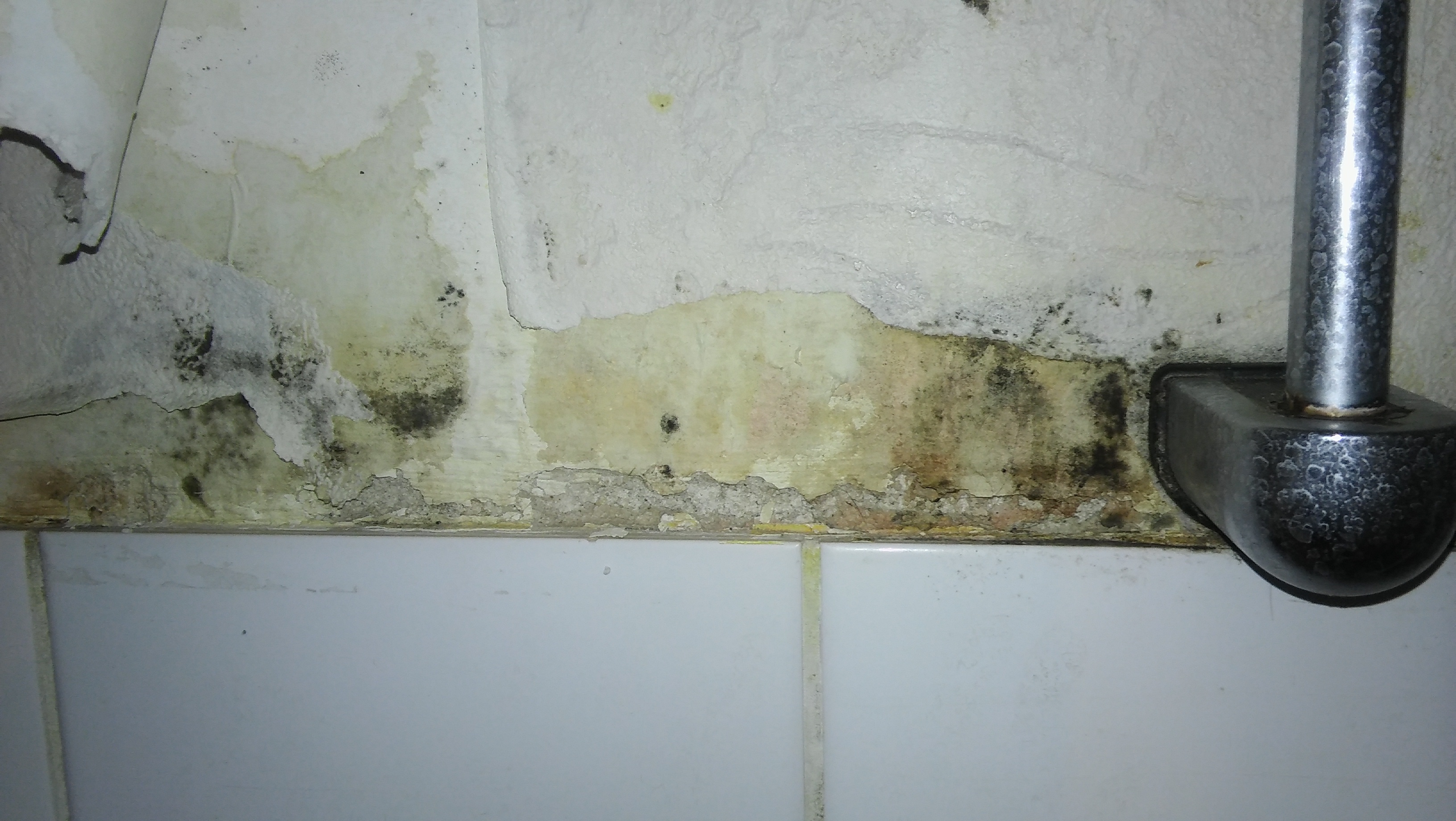Schimmel und Löcher in der Badezimmer wand - wer-weiss-was.de Schimmel und Löcher in der Badezimmer wand - wer-weiss-was.de