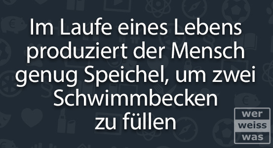 Schwimmbecken