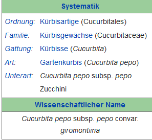 Kürbis