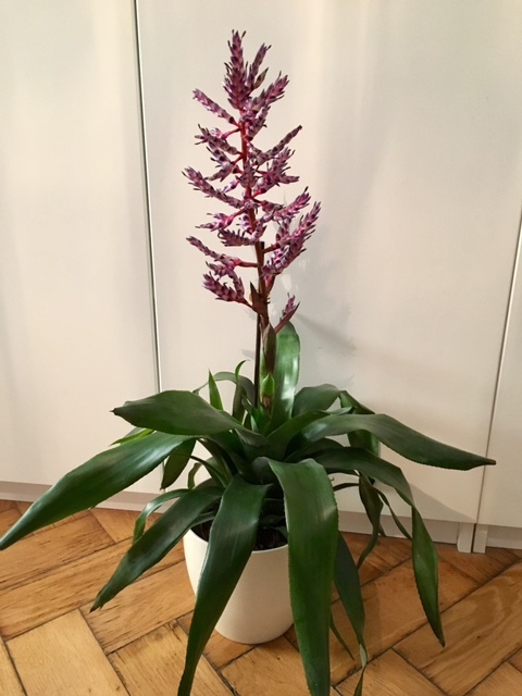 FullSizeRender FullSizeRender