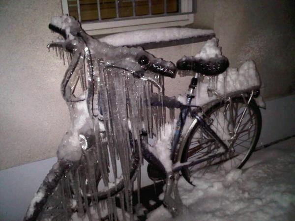 tsp.vereistes.fahrrad_65_winter.2010.2011
