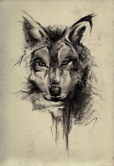wolf
