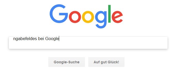 Google-Eingabe