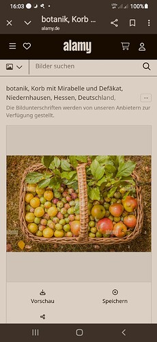 Screenshot_20260614-160318_Chrome
