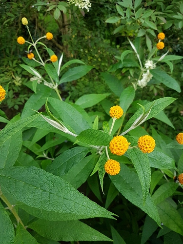 image-0.02.01.64908b758ccb8bdc3359e292f1808915da6e29211034920db2f2a6d22e9c99c5-V