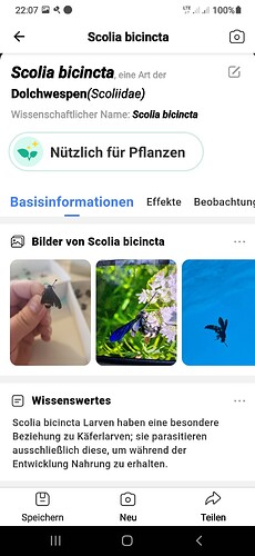 Screenshot_20260528-220739_Picture Insect