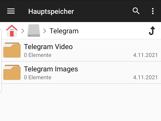 Screenshot_20211106-103916_File Manager +