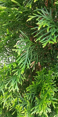 05-28-2017_09-08_1984