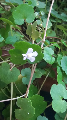 20160325_122010 20160325_122010