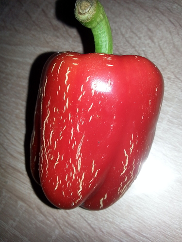 20161028_093045 20161028_093045