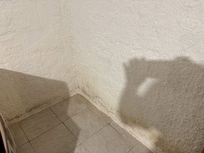 schimmel.auf.der.wand.2