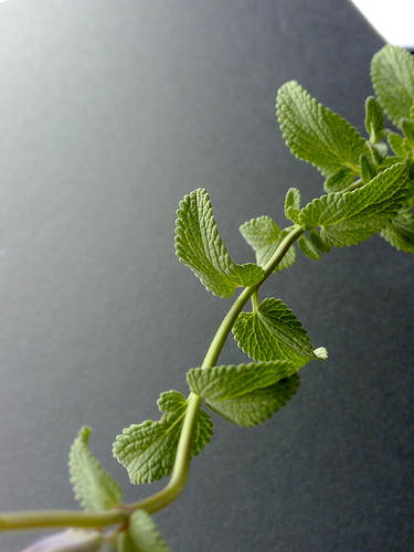 IMG_20160917_130047 IMG_20160917_130047