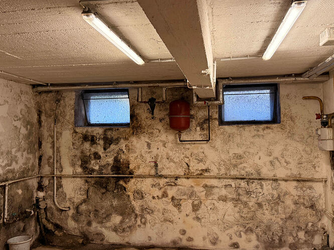 kellerfenster.hinten.1.und.2