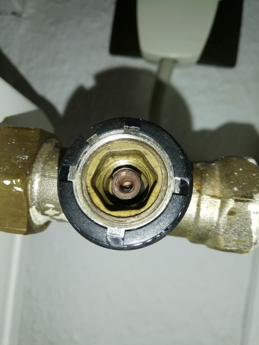 IMG-20191030-WA0005