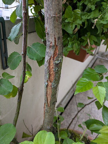 PXL_20260718_100636227