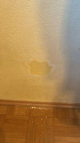 Foto_Wand
