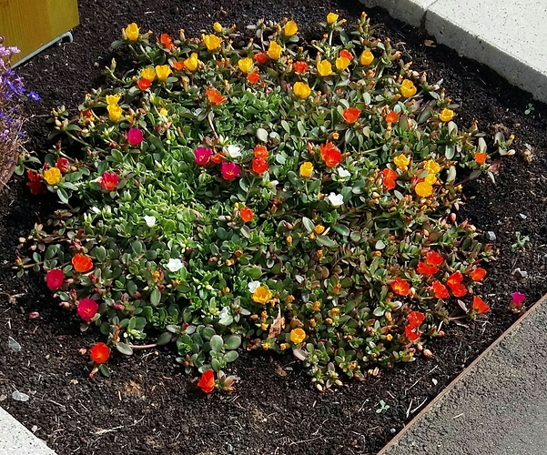 IMG-20160911-WA0000 IMG-20160911-WA0000