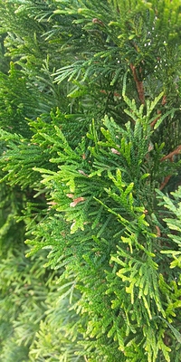 05-28-2017_09-08_1982