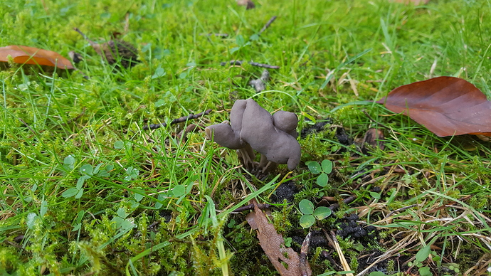 20171103_121040 20171103_121040