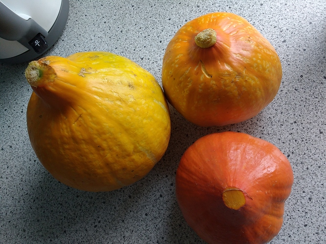 IMG_20160802_180857943