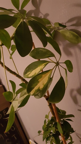 20170817_220430 20170817_220430