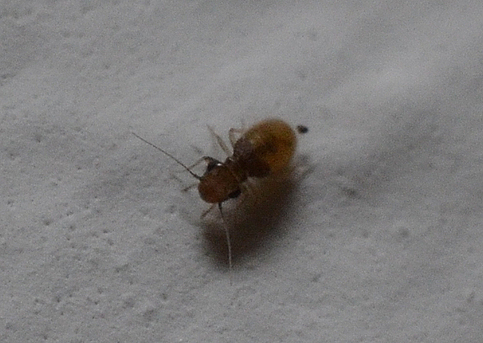 DSC_8364_zoom