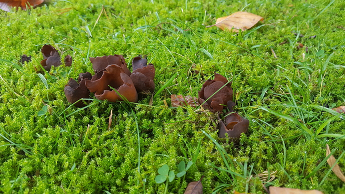 20171103_121009 20171103_121009