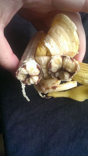 1444132292021-871981055