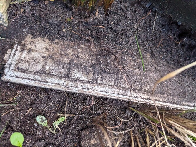 PXL_20251018_131858126