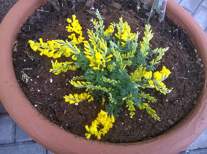 WP_20160408_14_57_02_Pro WP_20160408_14_57_02_Pro