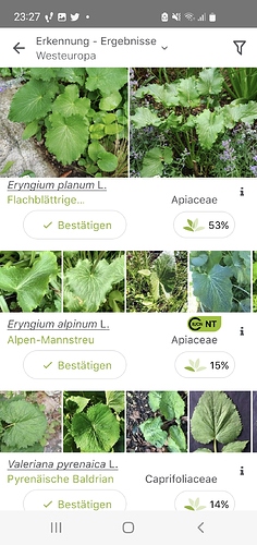 Screenshot_20220609-232706_PlantNet