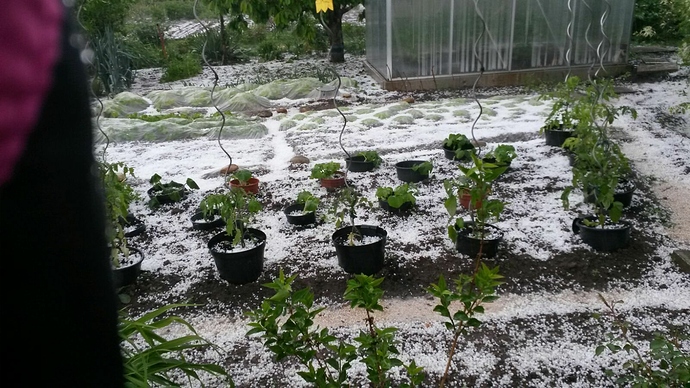 IMG-20160527-WA0001 IMG-20160527-WA0001