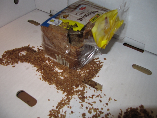 Kann das eine Maus gewesen sein