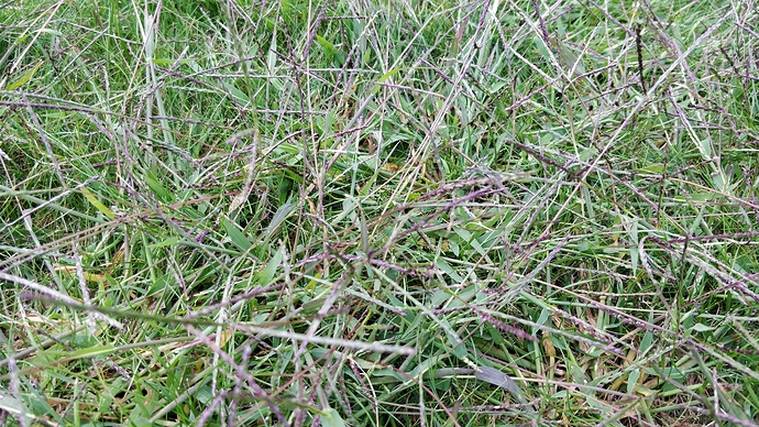 IMG_20170905_183421 IMG_20170905_183421