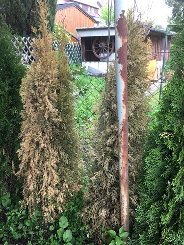 Foto 21.05.21, 17 53 23