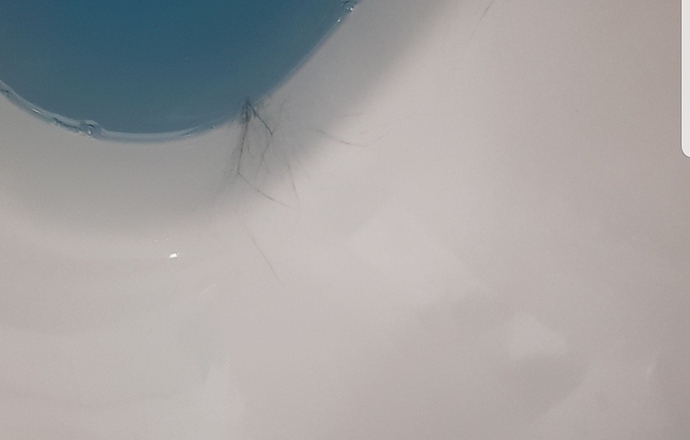 Screenshot_20190825-150349_Gallery