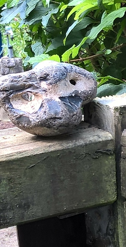 WP_20170721_10_46_58_Raw 1 WP_20170721_10_46_58_Raw 1