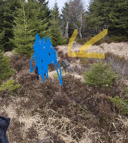 photo_18_2026-03-23_17-44-30