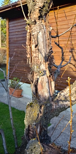 20190321_165146_HDR-1