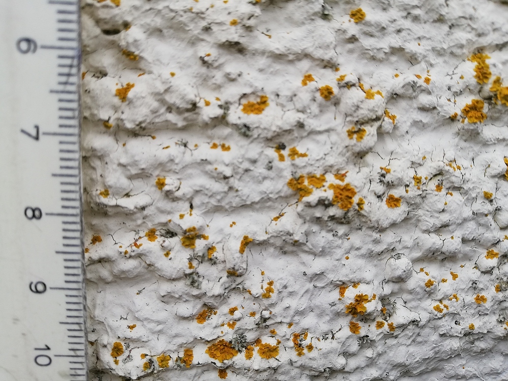 Spots an der Garagenwand - was ist das? - wer-weiss-was.de