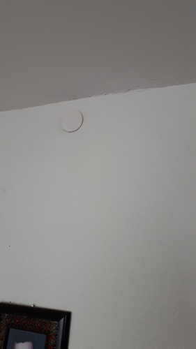 20190301_133929