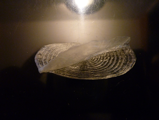 P1110269
