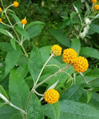 image-0.02.01.748790197ee79f483c0b478cac714e63d113a2083cf05d959b84faa7ecd67016-V